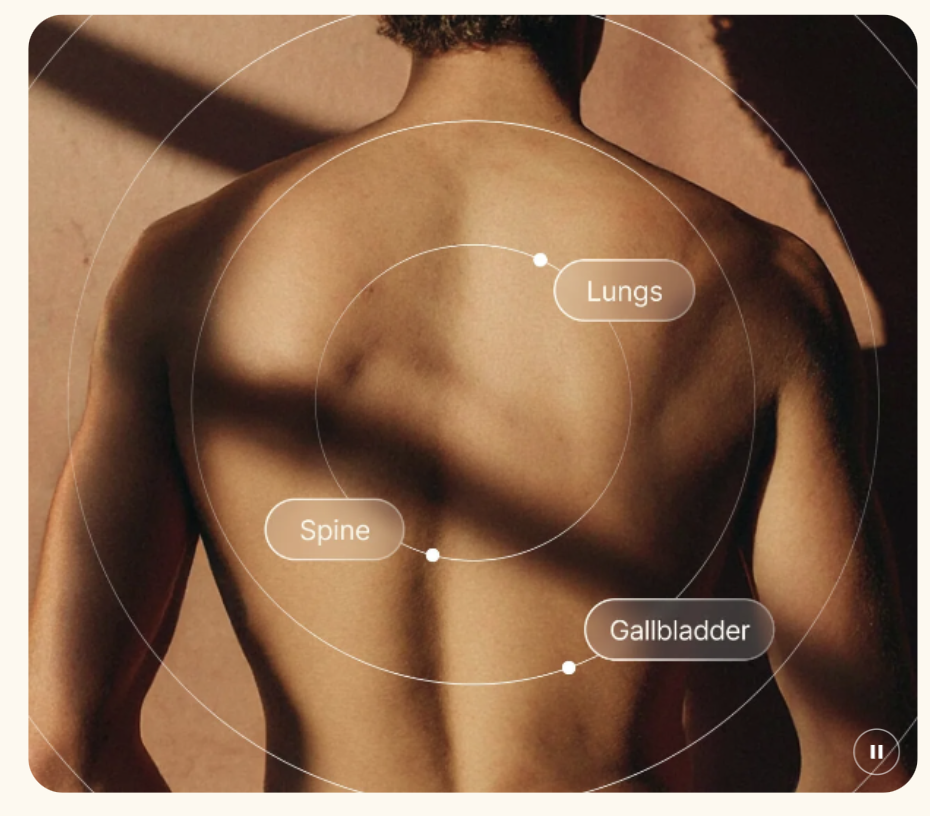 Prevento - Your Advanced Health Check